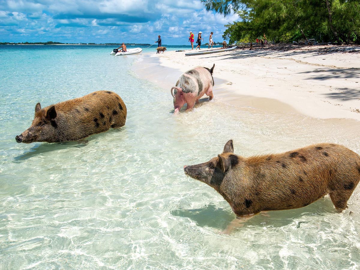 Congratulations to Gabrielle and Sedney